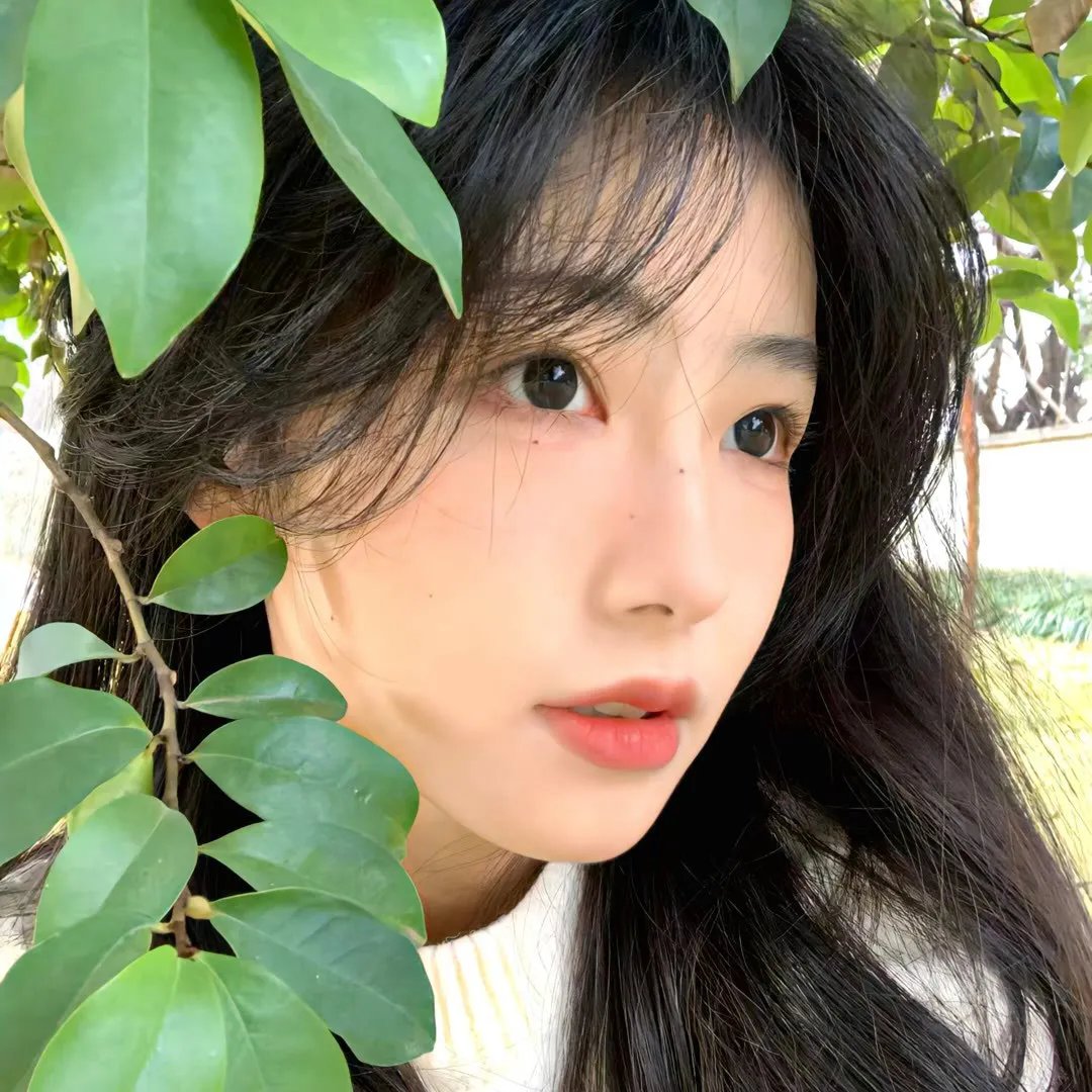 格雷斯 第三季